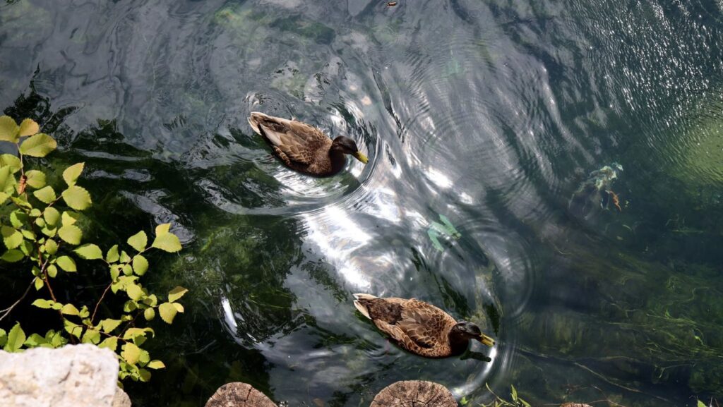 Rijeka Una - Vodopadi, rafting i Nacionalni park koji morate posjetiti