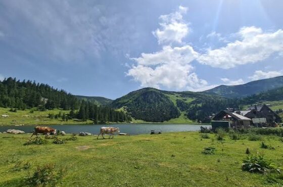 Prokoško jezero 2026.: Završen asfaltni put i objavljen cjenovnik za posjetioce